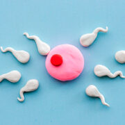 Métodos para conocer los días de la ovulación