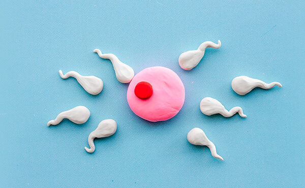 Métodos para conocer los días de la ovulación