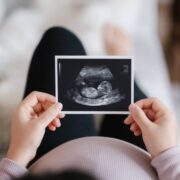 El Desarrollo del Feto en el Útero
