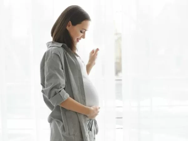 Problemas de Salud Preexistentes al Embarazo